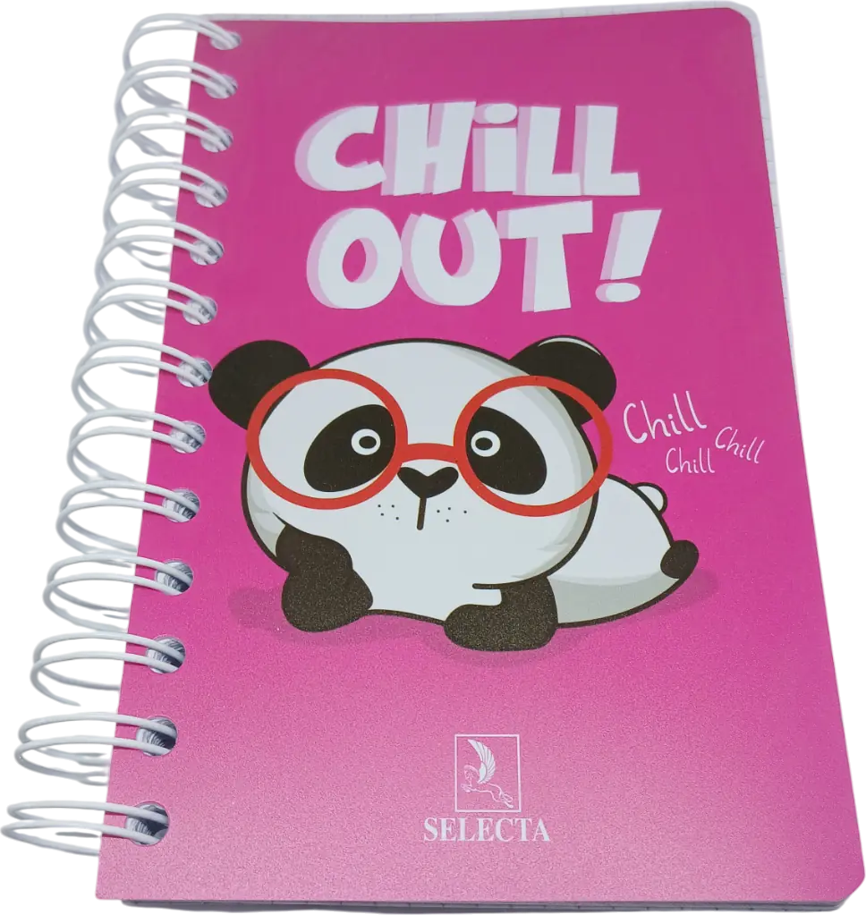 Carnet Wireo 300p Seyes 11/17 SELECTA