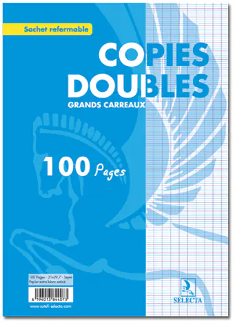 Copies doubles non perforées blanc 17X22 60G SELECTA