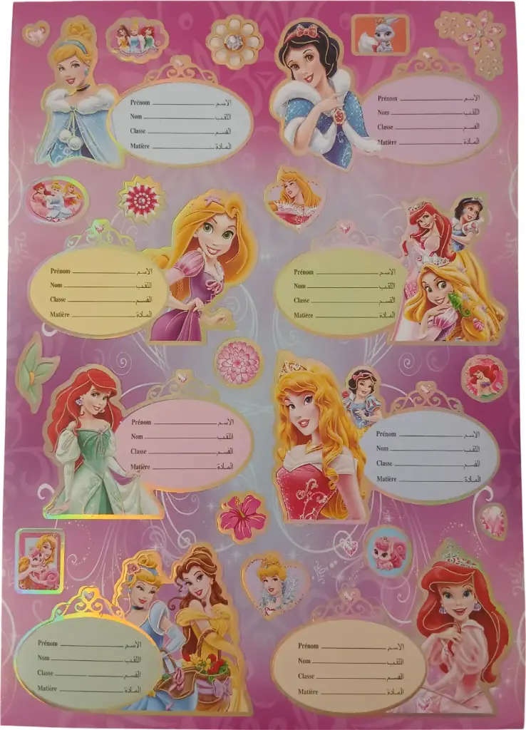 Planche de 8 étiquettes scolaire NS259/23 PENSCHOOL